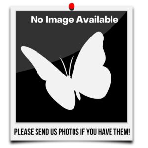 Website Placeholder