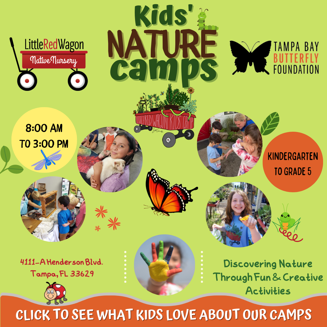 nimble_asset_Nature-Camp-web