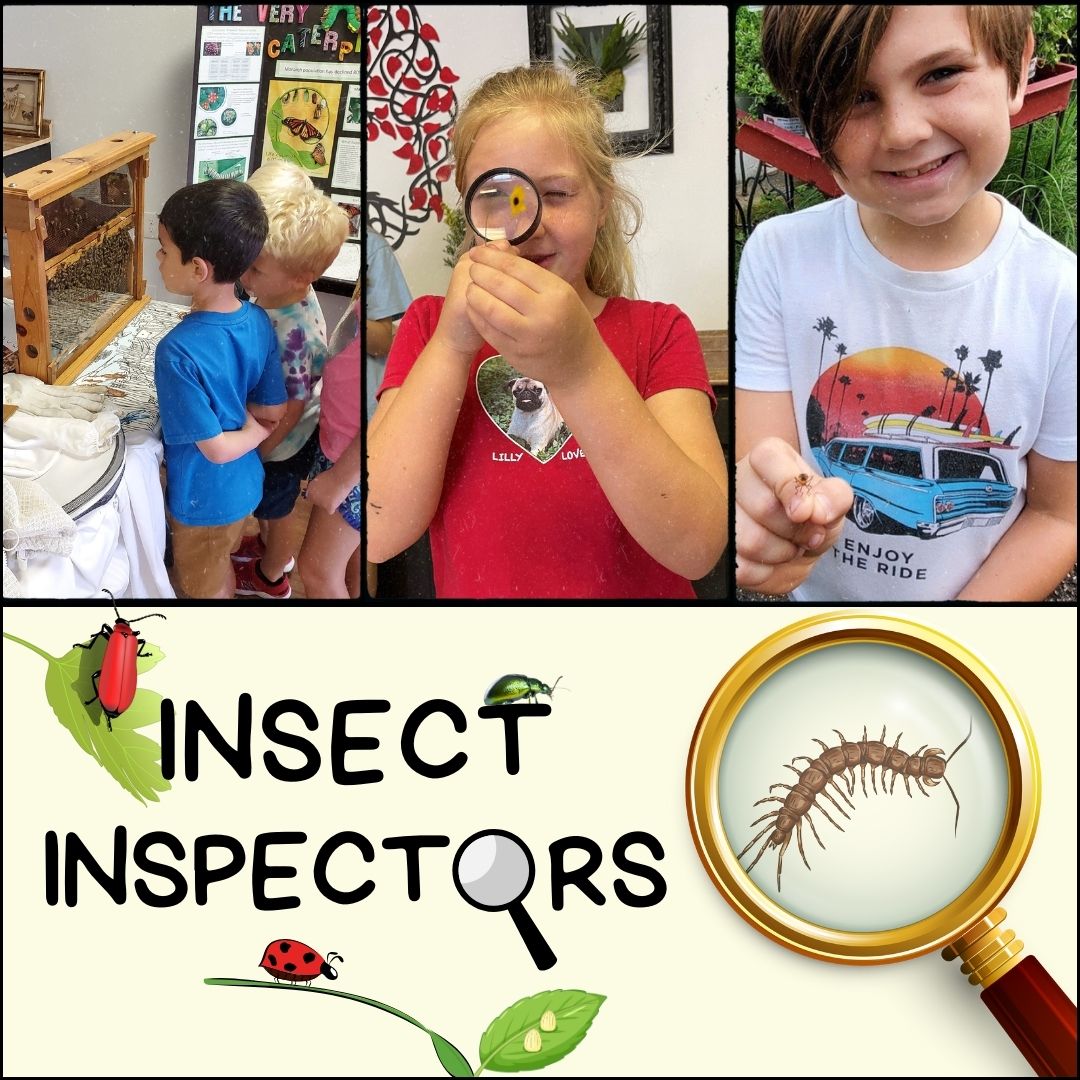 nimble_asset_Insect-Inspectors-Week-9