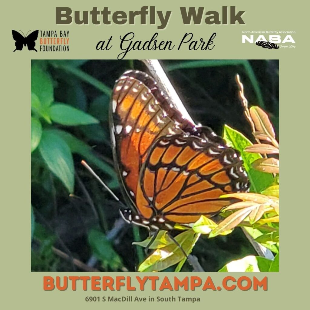 Butterfly Walk at Gadsen Park - April 26